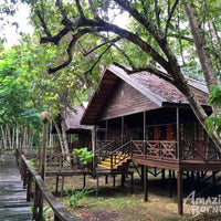 3D2N Selingan Turtle Island & Bilit Rainforest Lodge