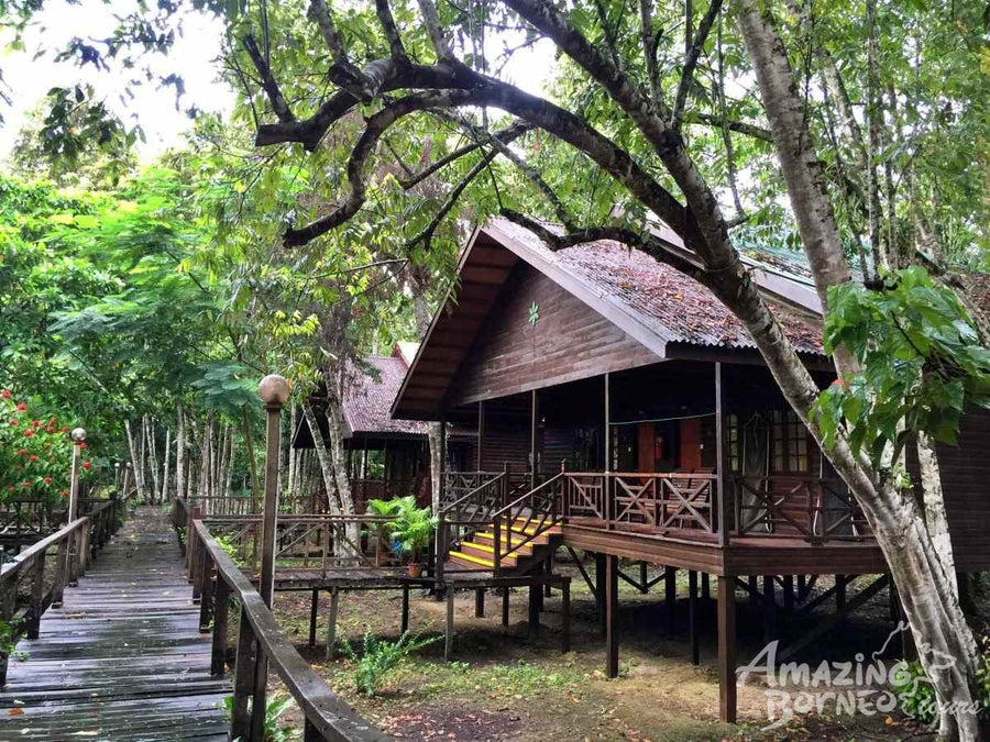 3D2N Selingan Turtle Island & Bilit Rainforest Lodge