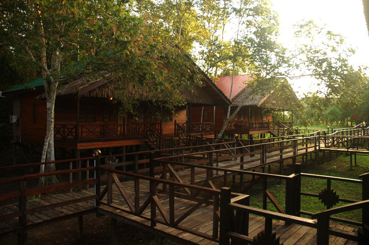 Bilit Rainforest Lodge